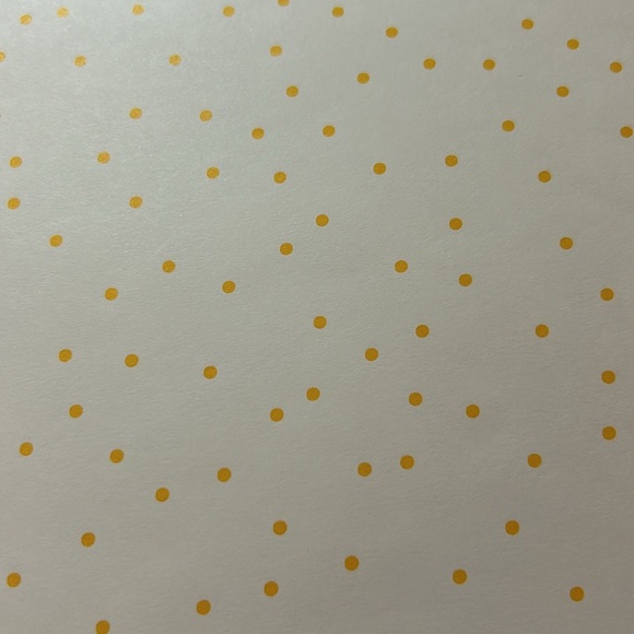 CTMH scrapbook paper - Picture 6 of 10